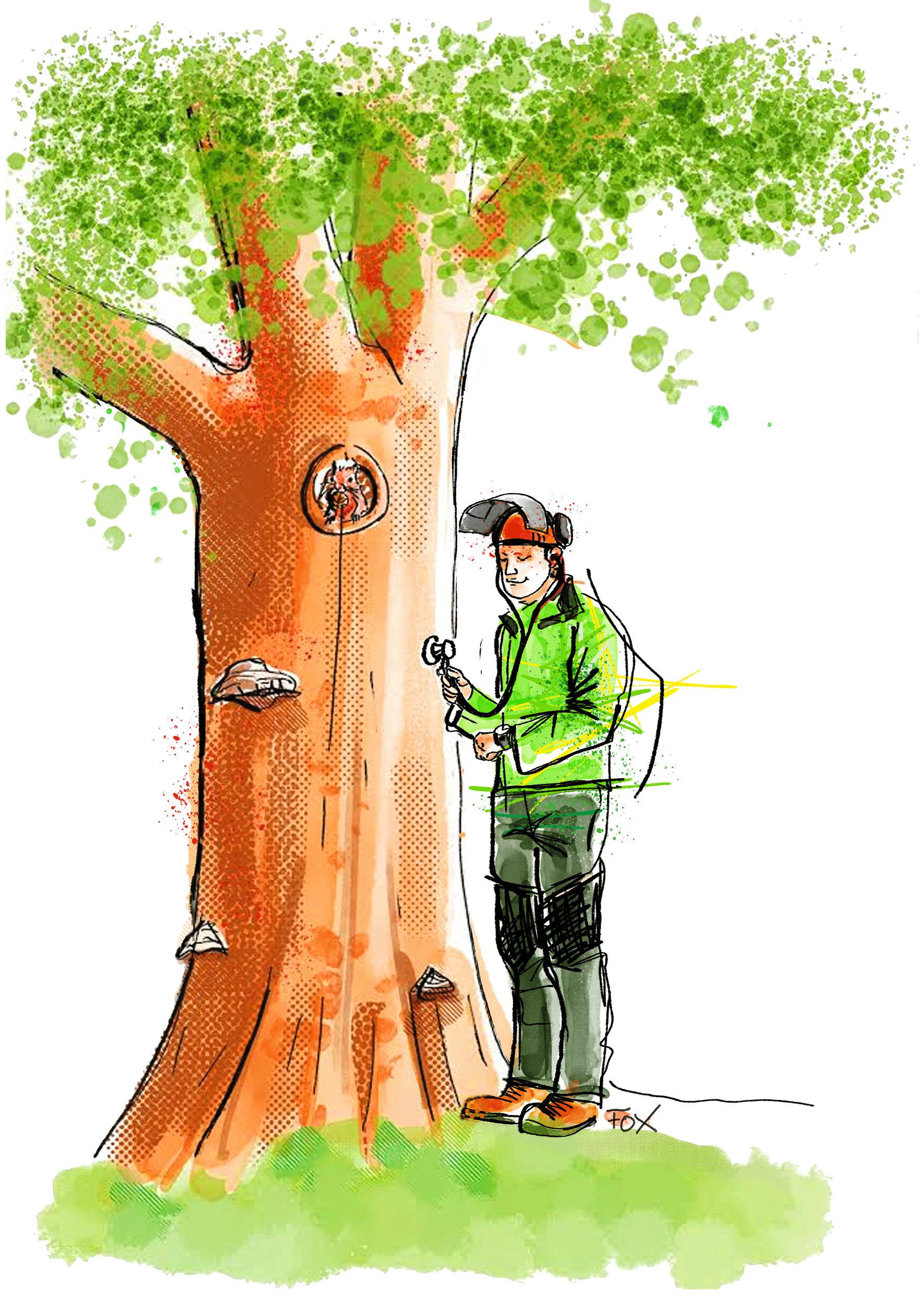 Baumfloh – Der Profi für Baumpflege aus dem Hochschwarzwald