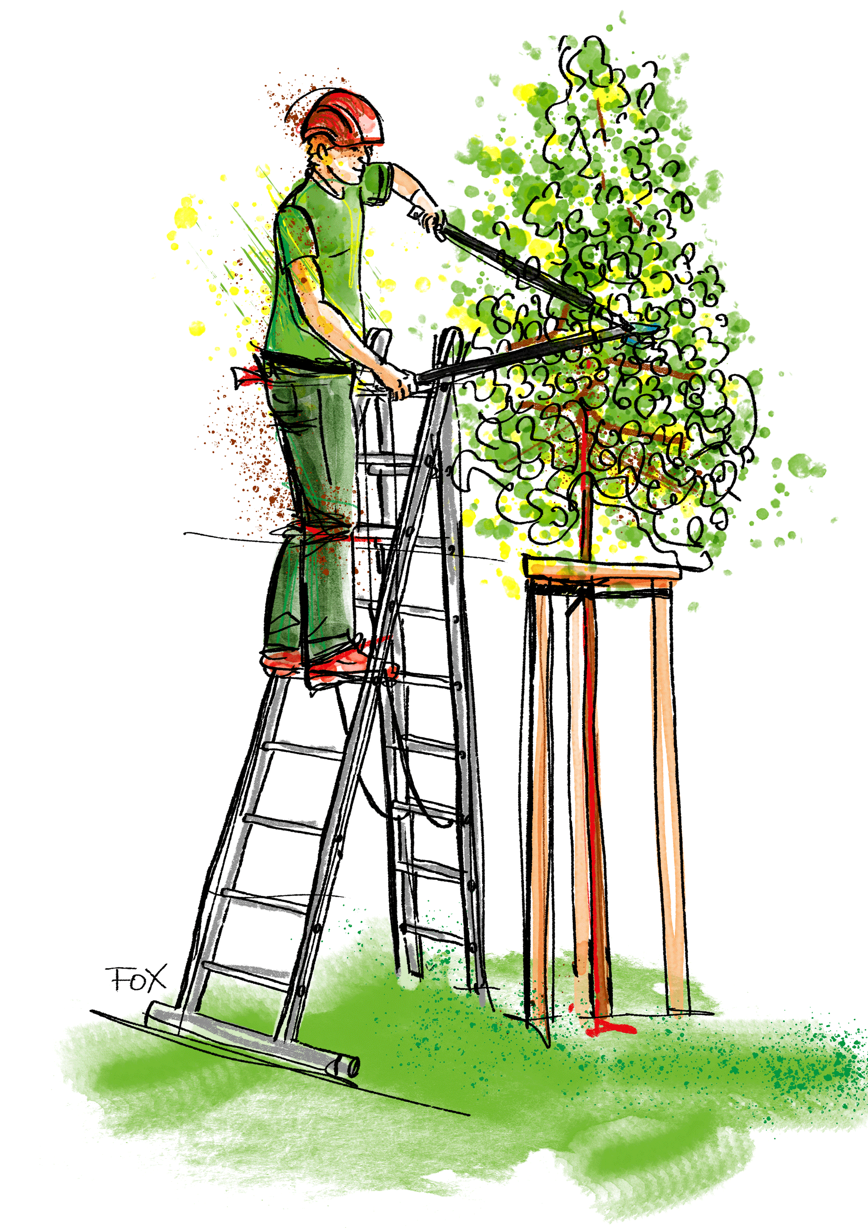 Baumfloh – Der Profi für Baumpflege aus dem Hochschwarzwald